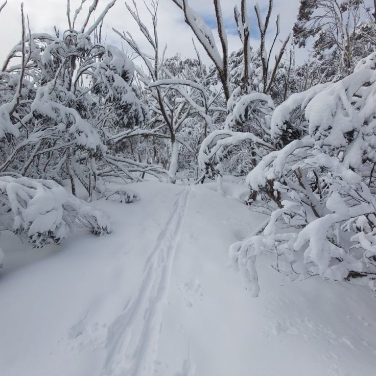 300866902_608273890971297_7104022617185294409_n