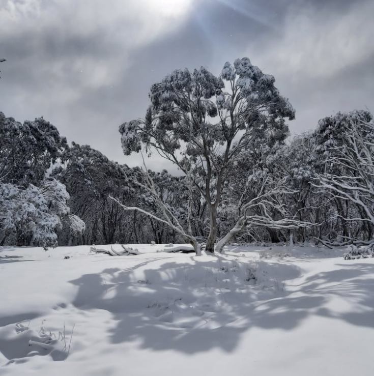 301316984_1787602501593333_6933549684461825821_n