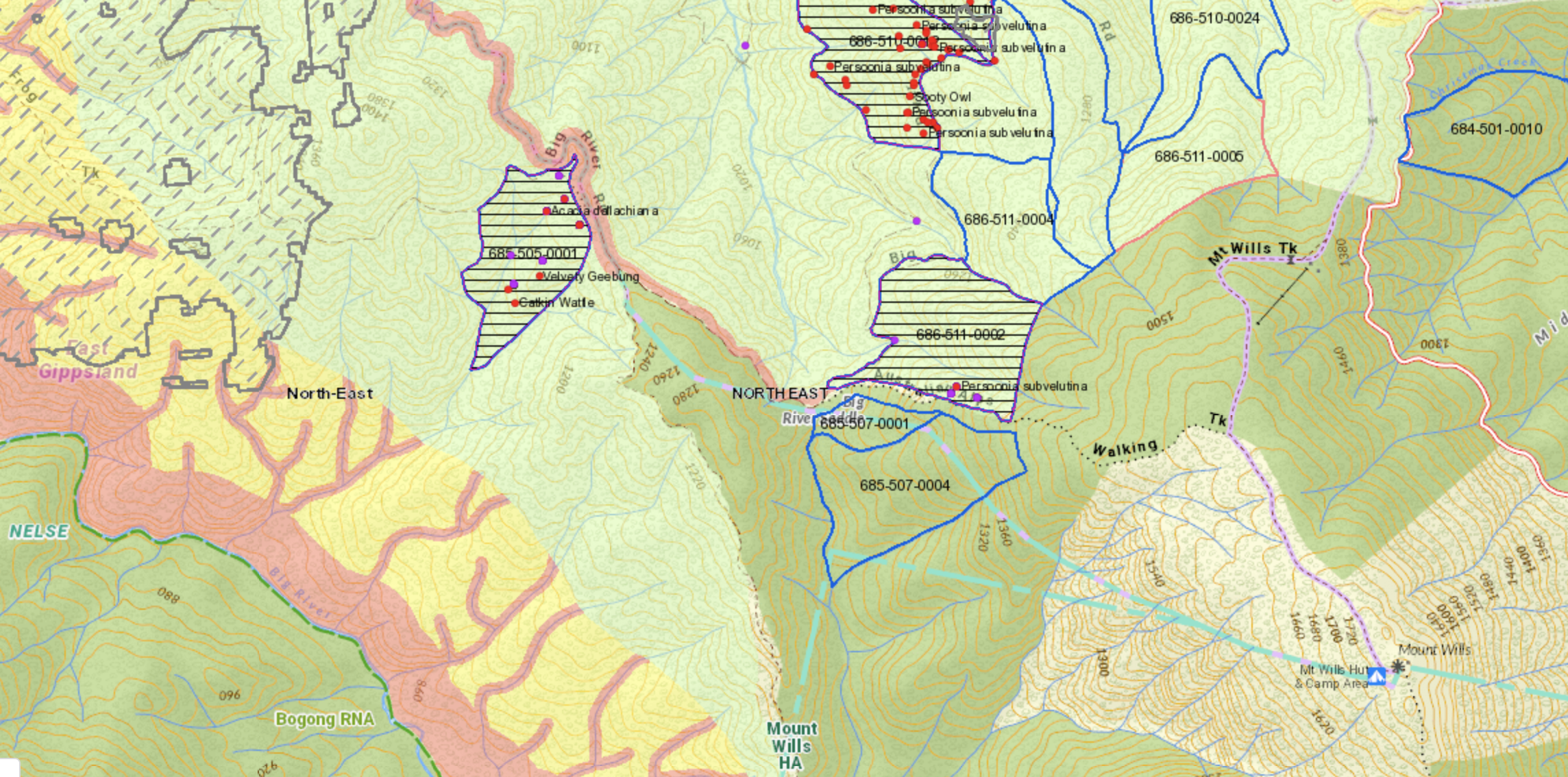 Screen Shot 2022-09-27 at 3.52.44 pm