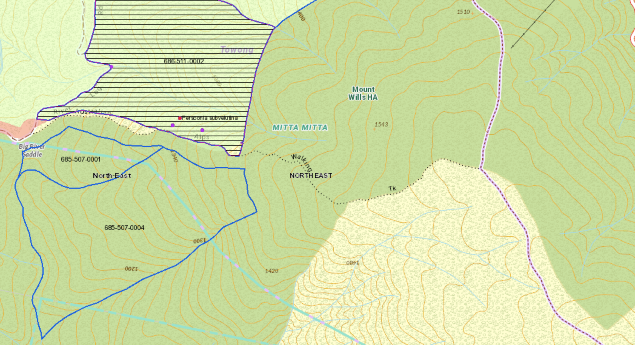 Screen Shot 2022-10-04 at 9.03.37 pm