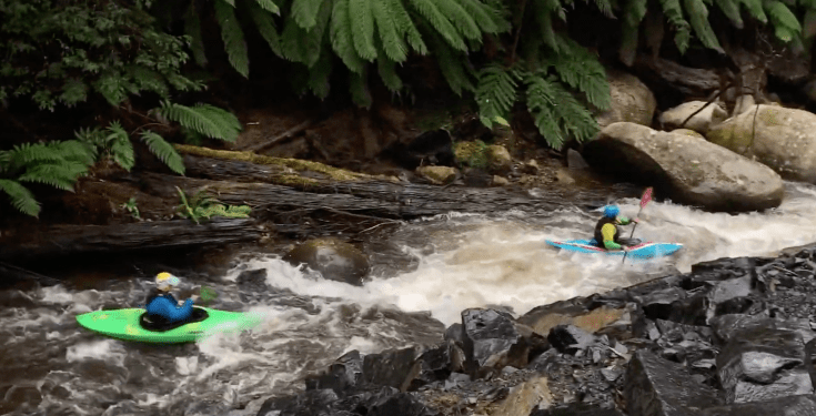 Screen Shot 2022-11-22 at 10.22.47 am