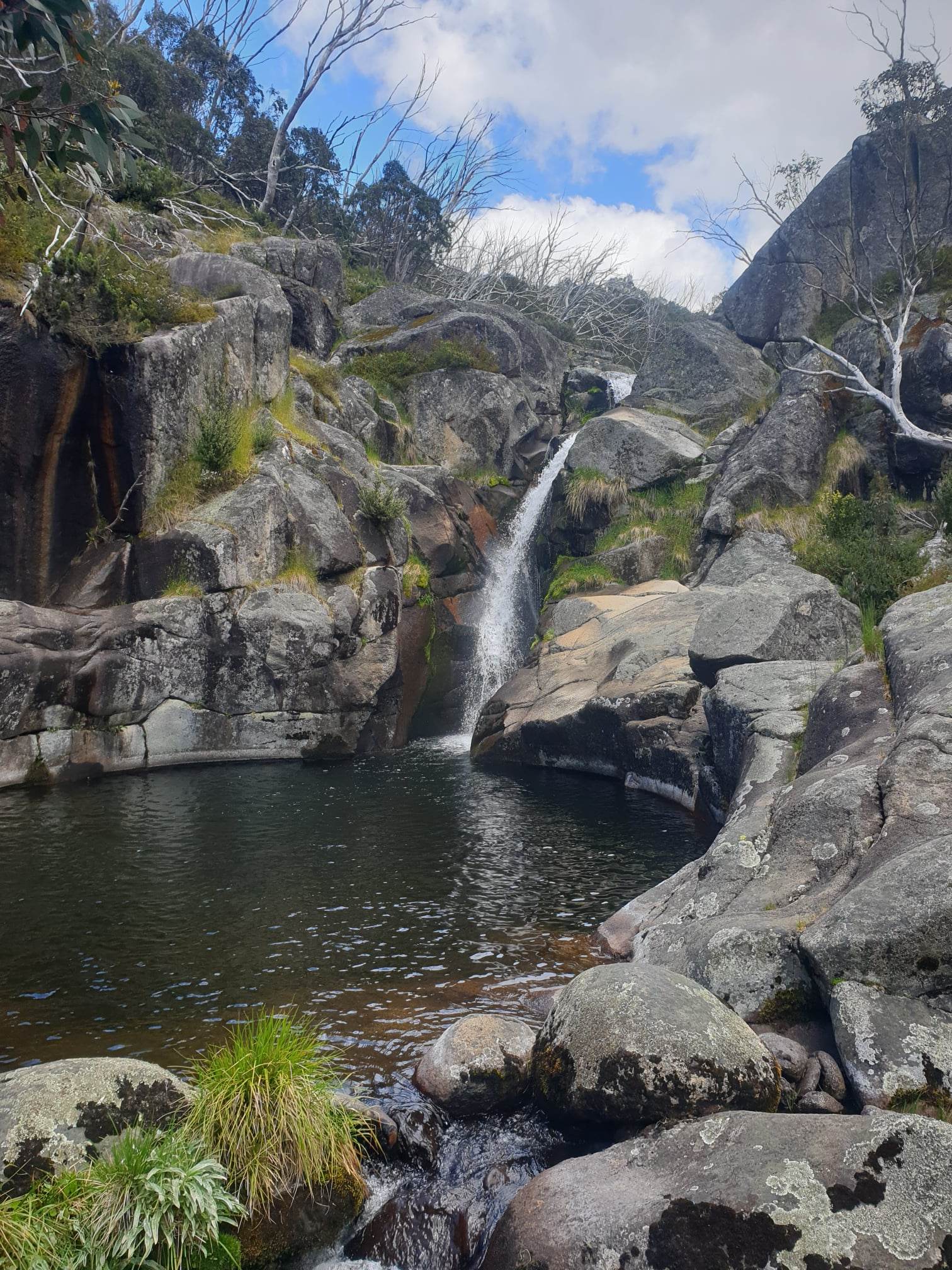 322742143_1572526776493608_7519711640778228228_n