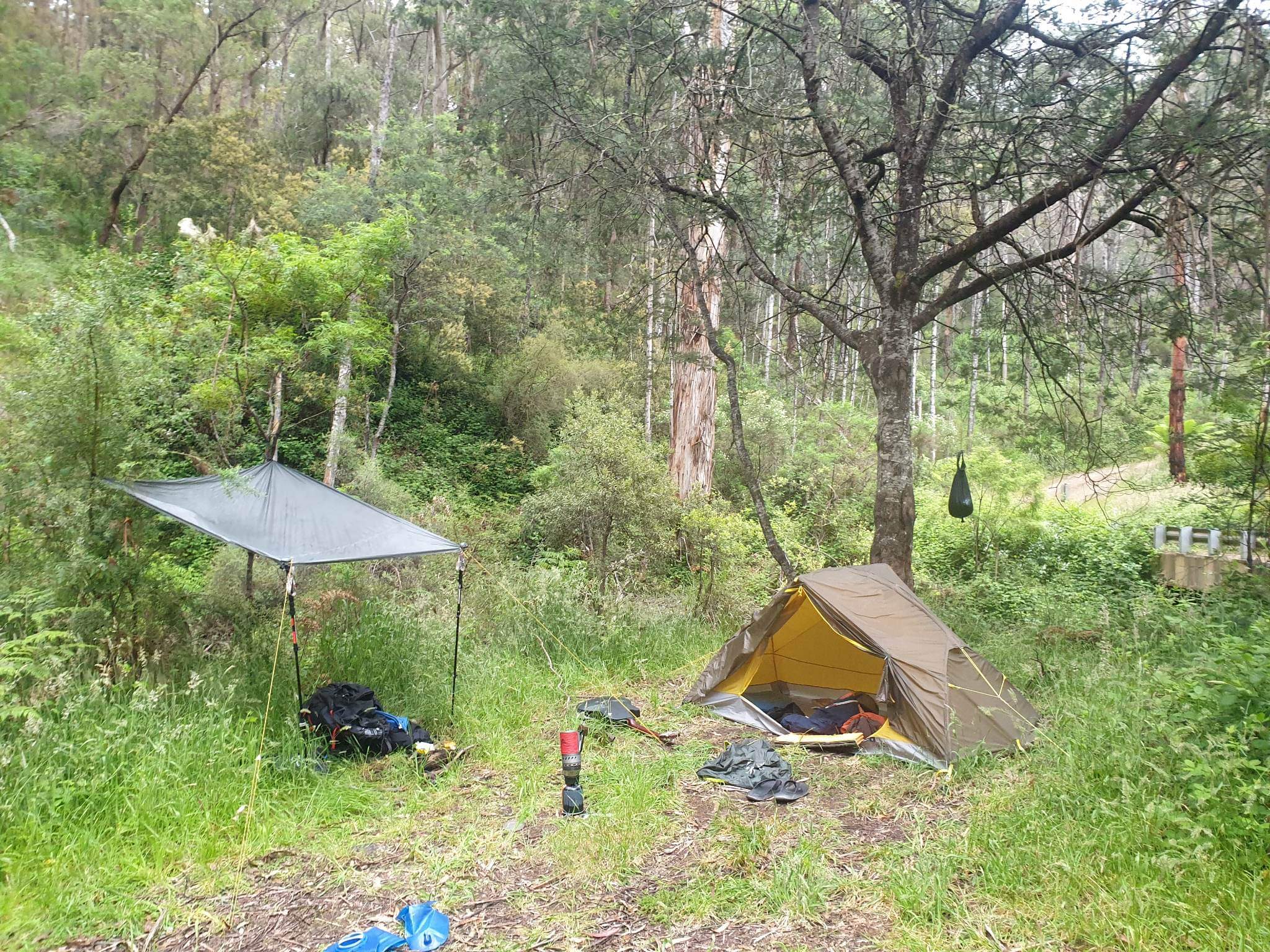 received_453178247013319