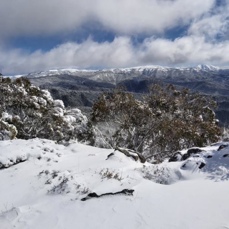 300484233_453730826642052_7825256957432380790_n