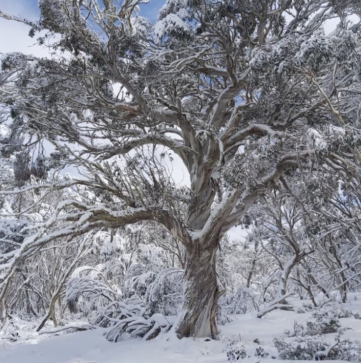 301414469_667491074981527_8293317754417241051_n