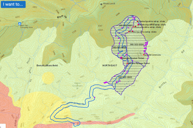 Screen Shot 2023-03-07 at 10.02.42 am