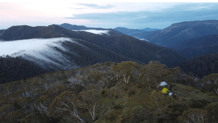 Screen Shot 2024-03-06 at 6.59.19 pm