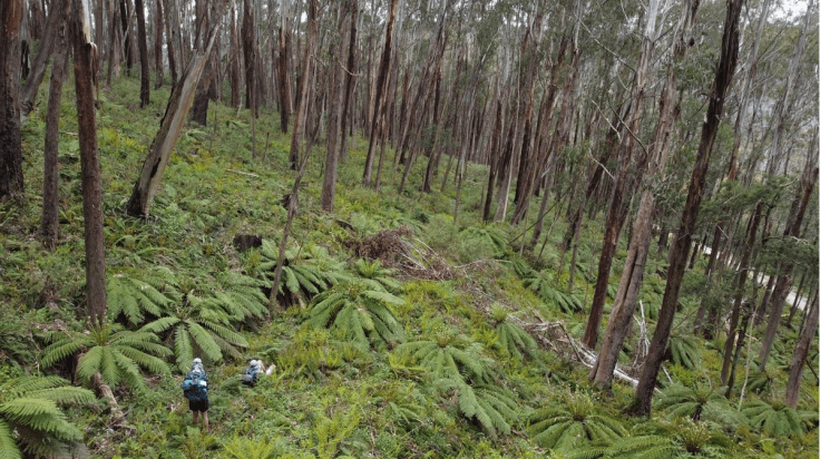 Screen Shot 2024-03-06 at 6.59.52 pm