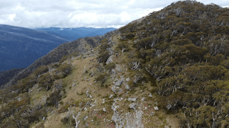 Screen Shot 2024-03-06 at 7.00.02 pm