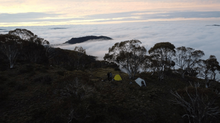 Screen Shot 2024-03-06 at 7.00.12 pm