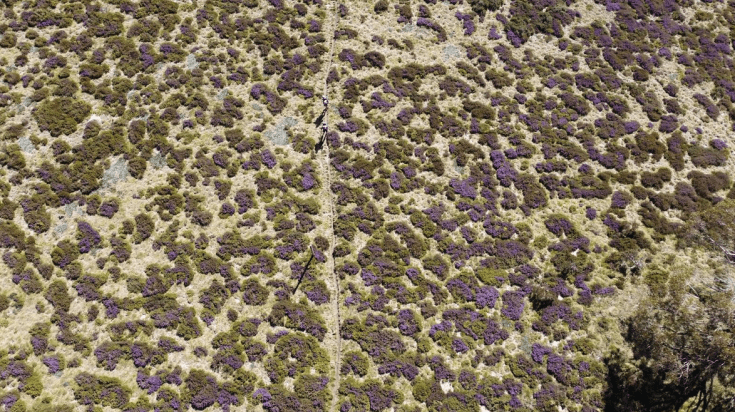 Screen Shot 2024-03-06 at 7.00.24 pm