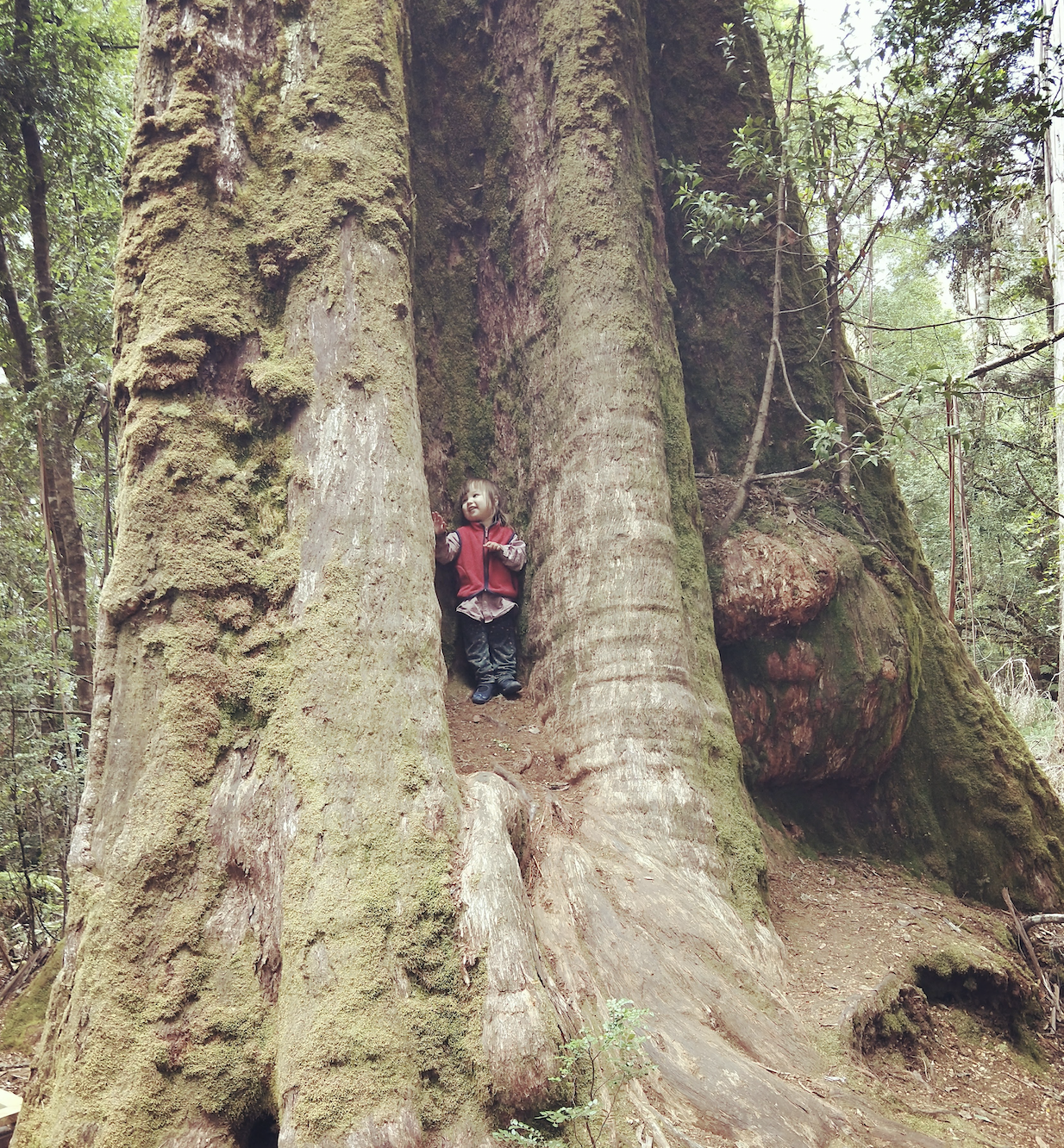 Screen Shot 2024-07-24 at 7.39.27 pm