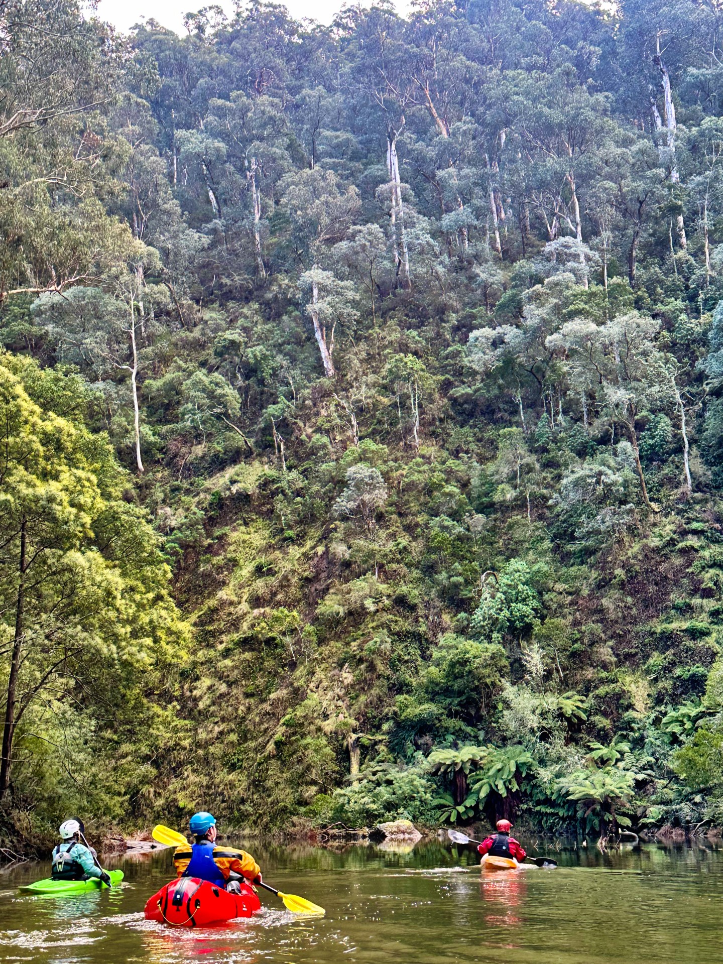 Many Rivers To Run All the Rivers Run – Mountain Journal